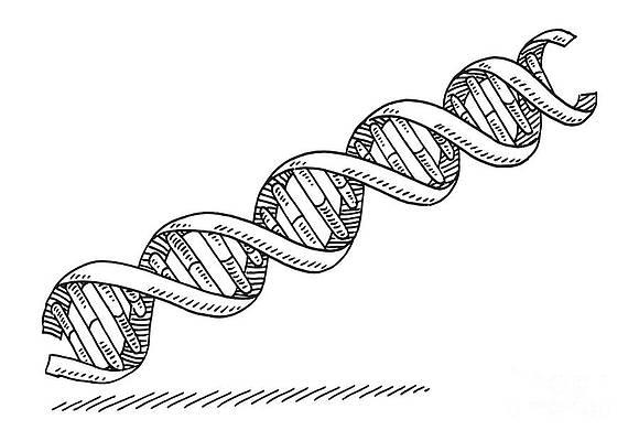 double-helix-dna-symbol-drawing-frank-ramspott.jpg