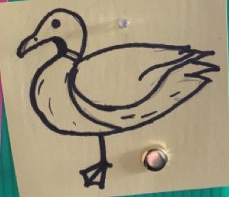 drawing - duck.jpeg