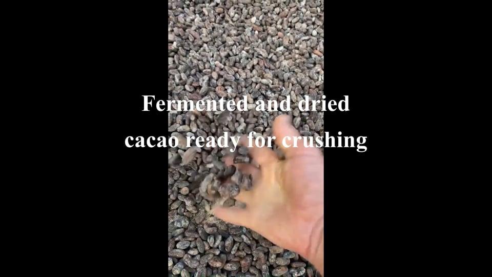dried beans.mp4