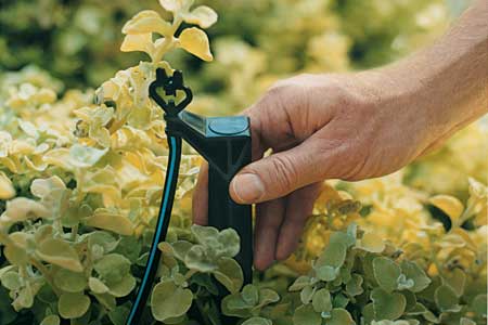 drip-irrigation-toutX.jpg