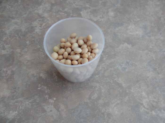 dry soy beans.jpg