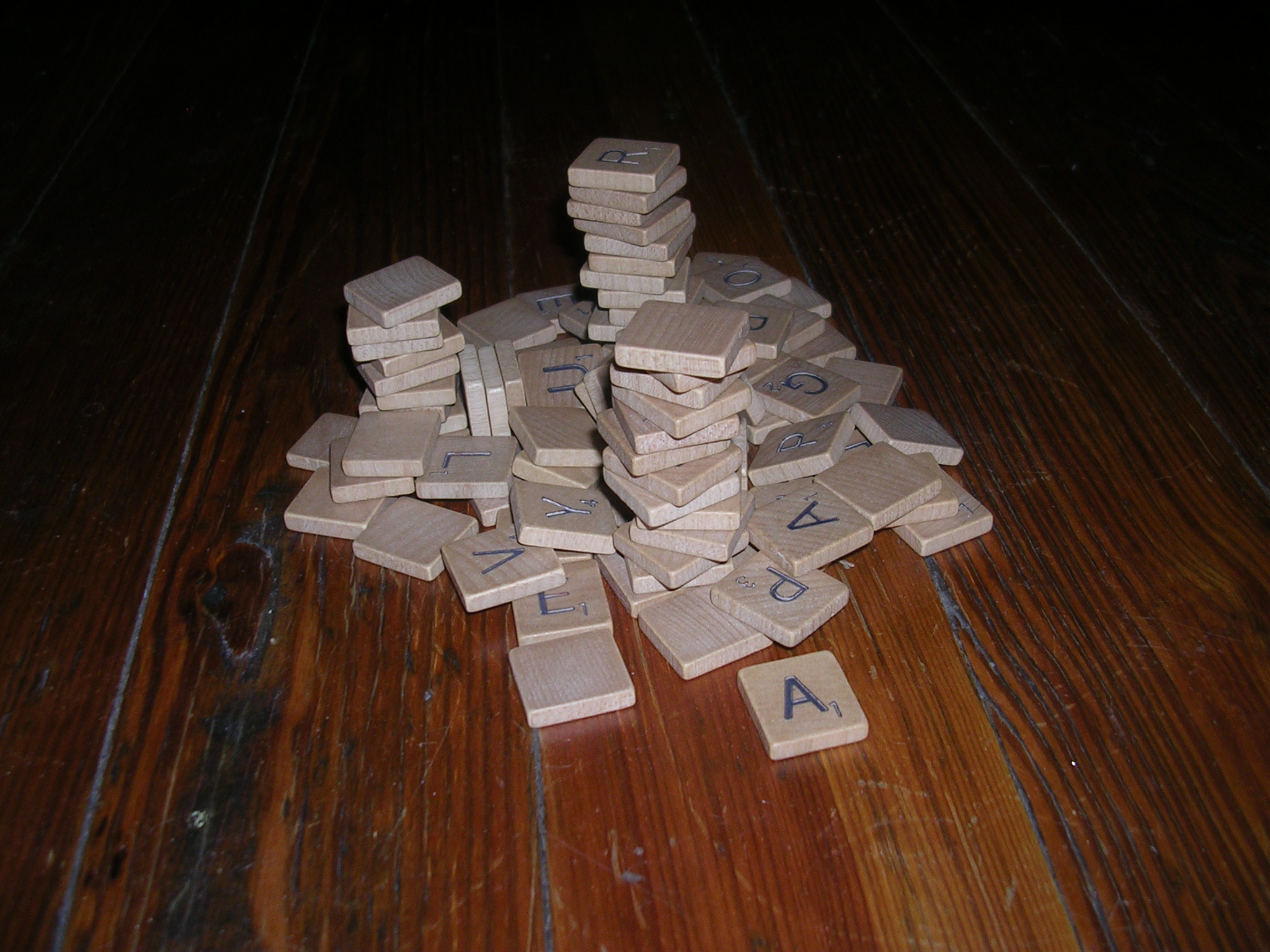 dscn3551.jpg