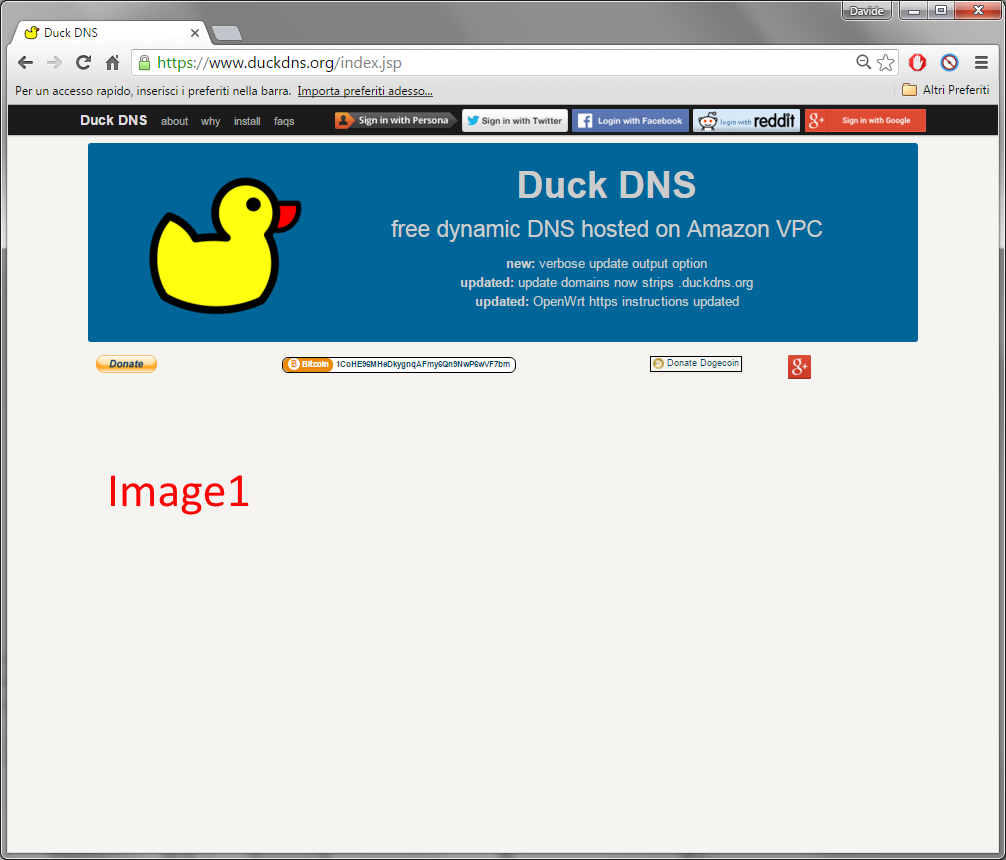 duckdns1.png