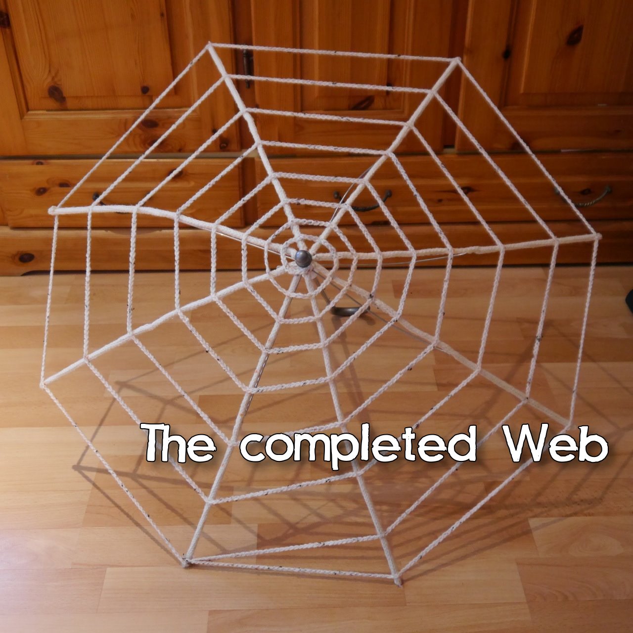 e_spidersweb10a.jpg