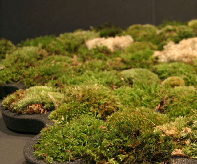 ecofriendly-moss-bathroom-mat.jpg