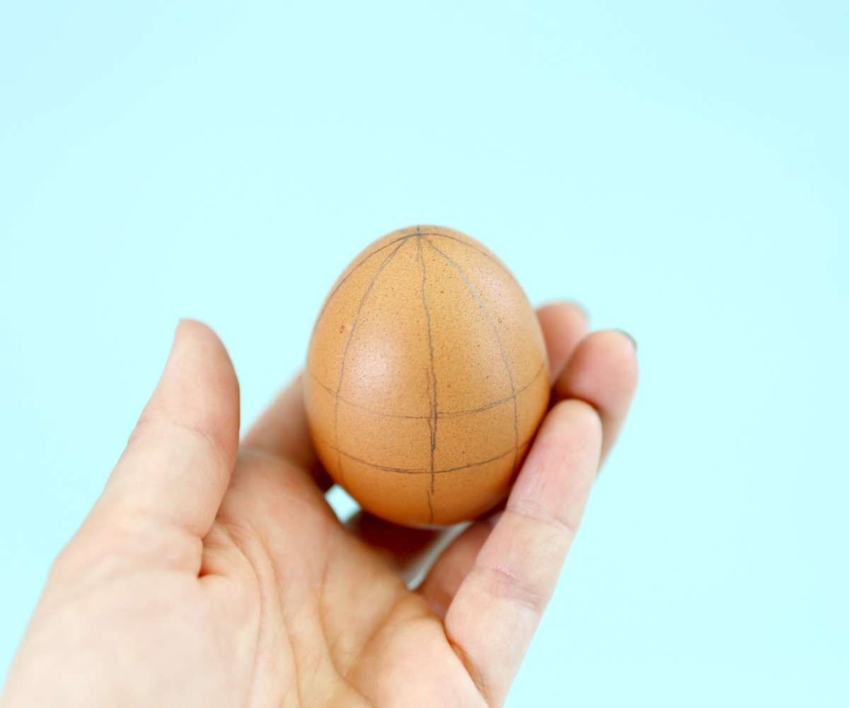 egg 38.jpg