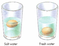 egg floating experiment.gif