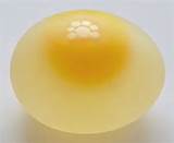 egg in vinegar.jpeg