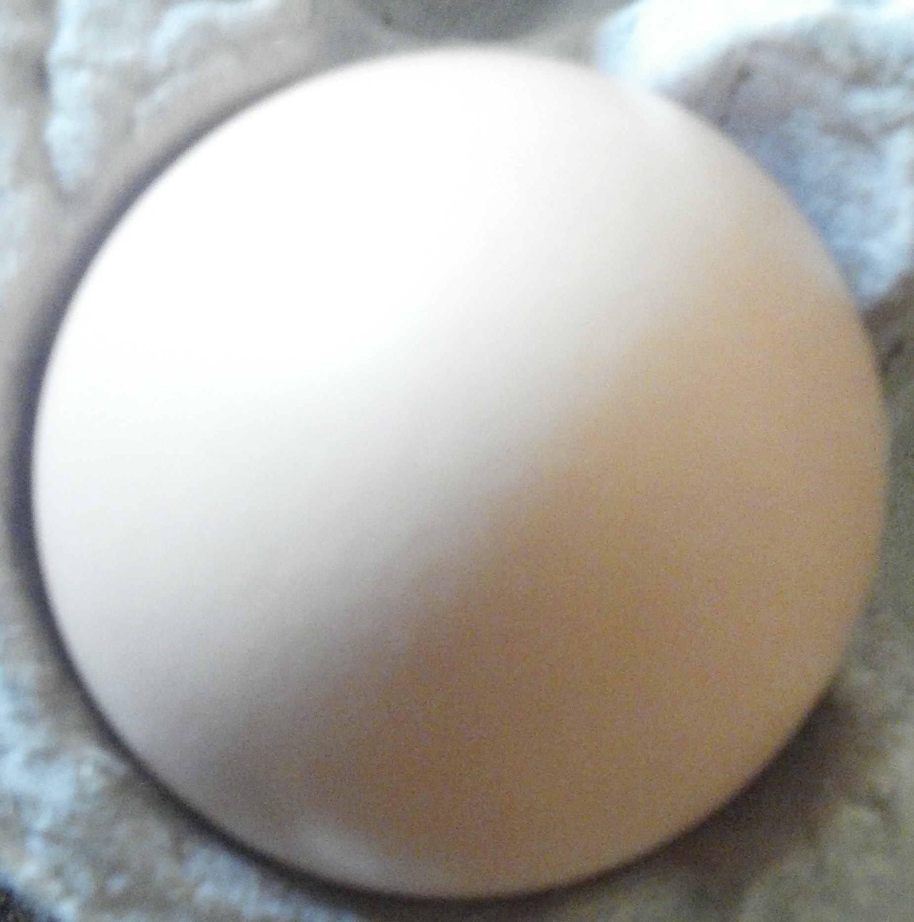 egg.jpg