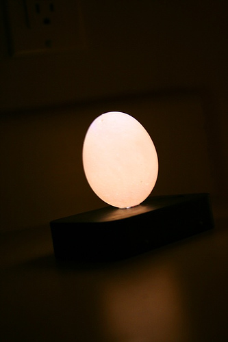 egglight3.jpg