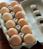 eggs-2009.jpg