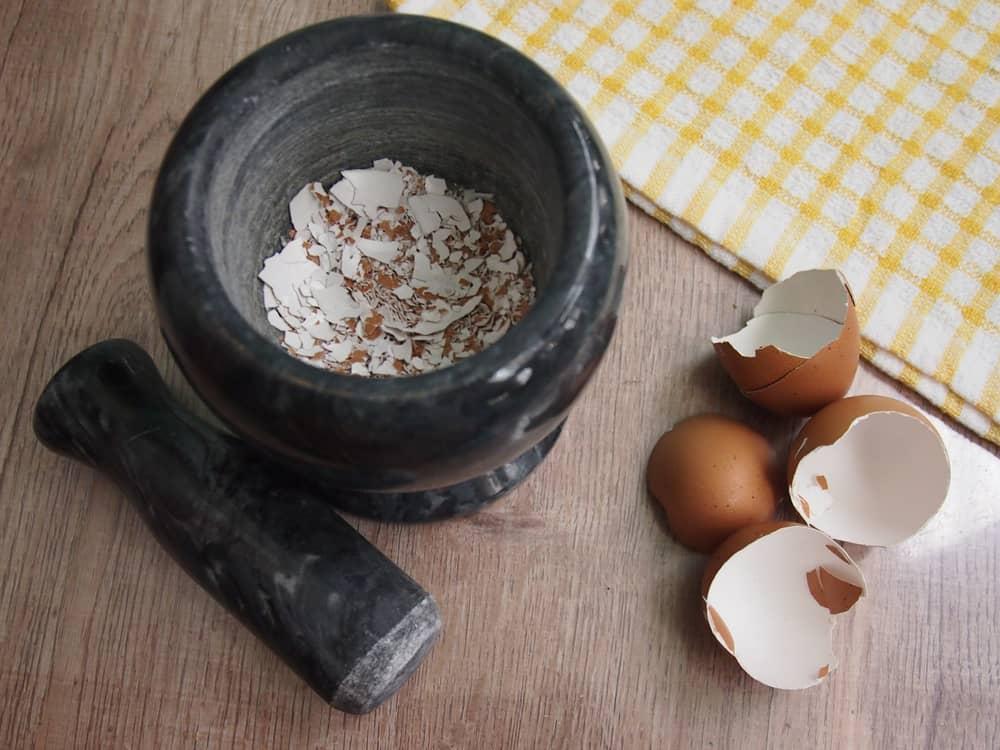 eggshells-pestle-mortar.jpg