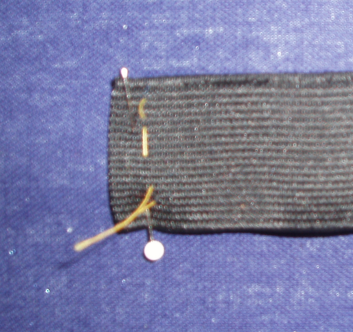 elastic slot 1.jpg