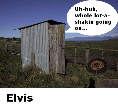 elvisshed.jpg