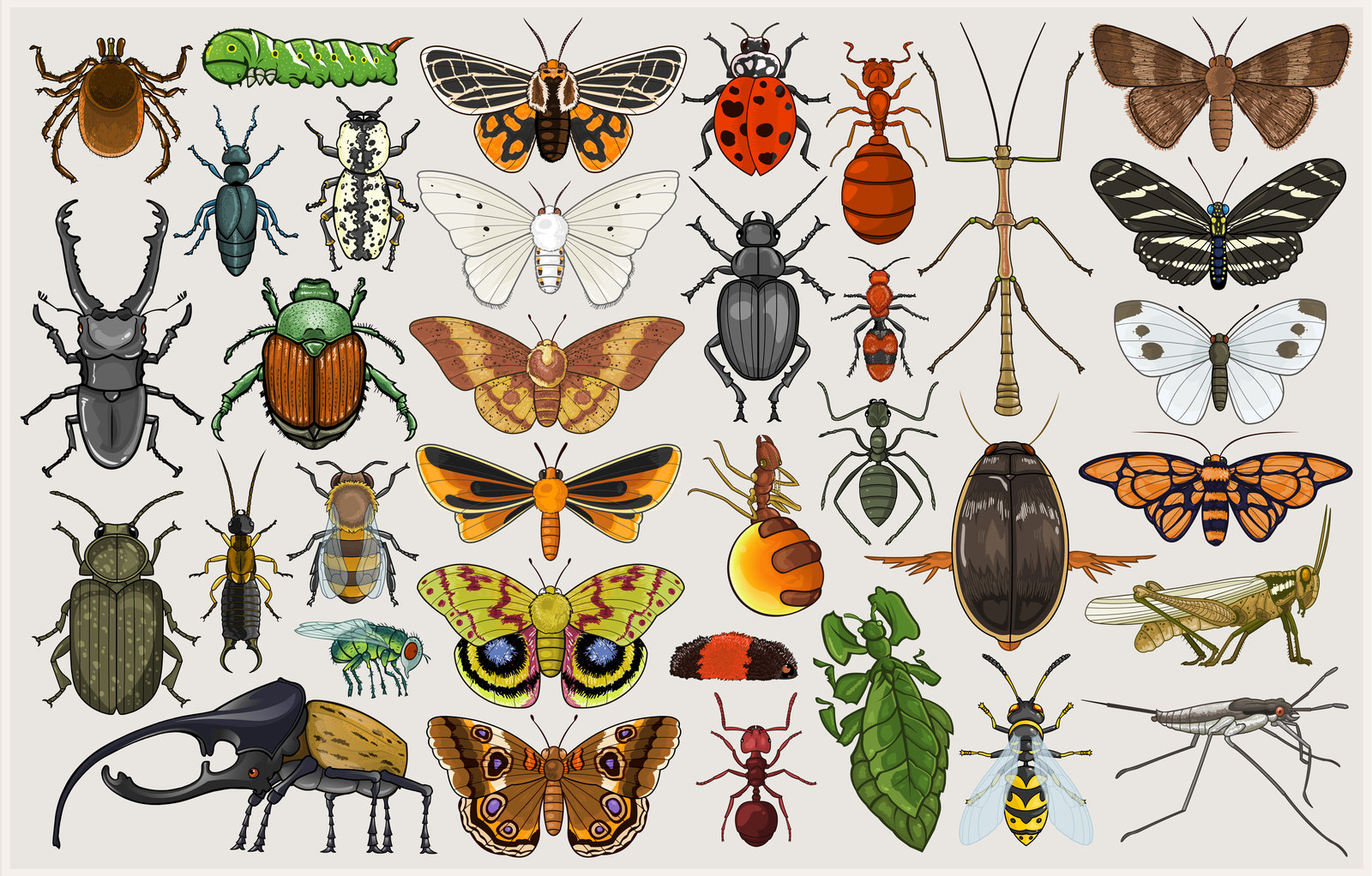 entomology_mumbo_jumbo_by_killskerry-d4cg7a2.jpg