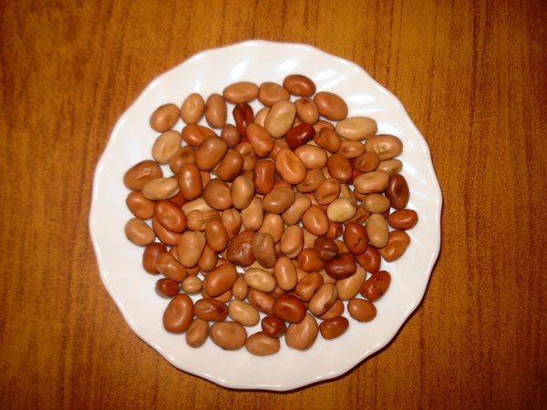 fava_beans_food_plate_222215.jpg