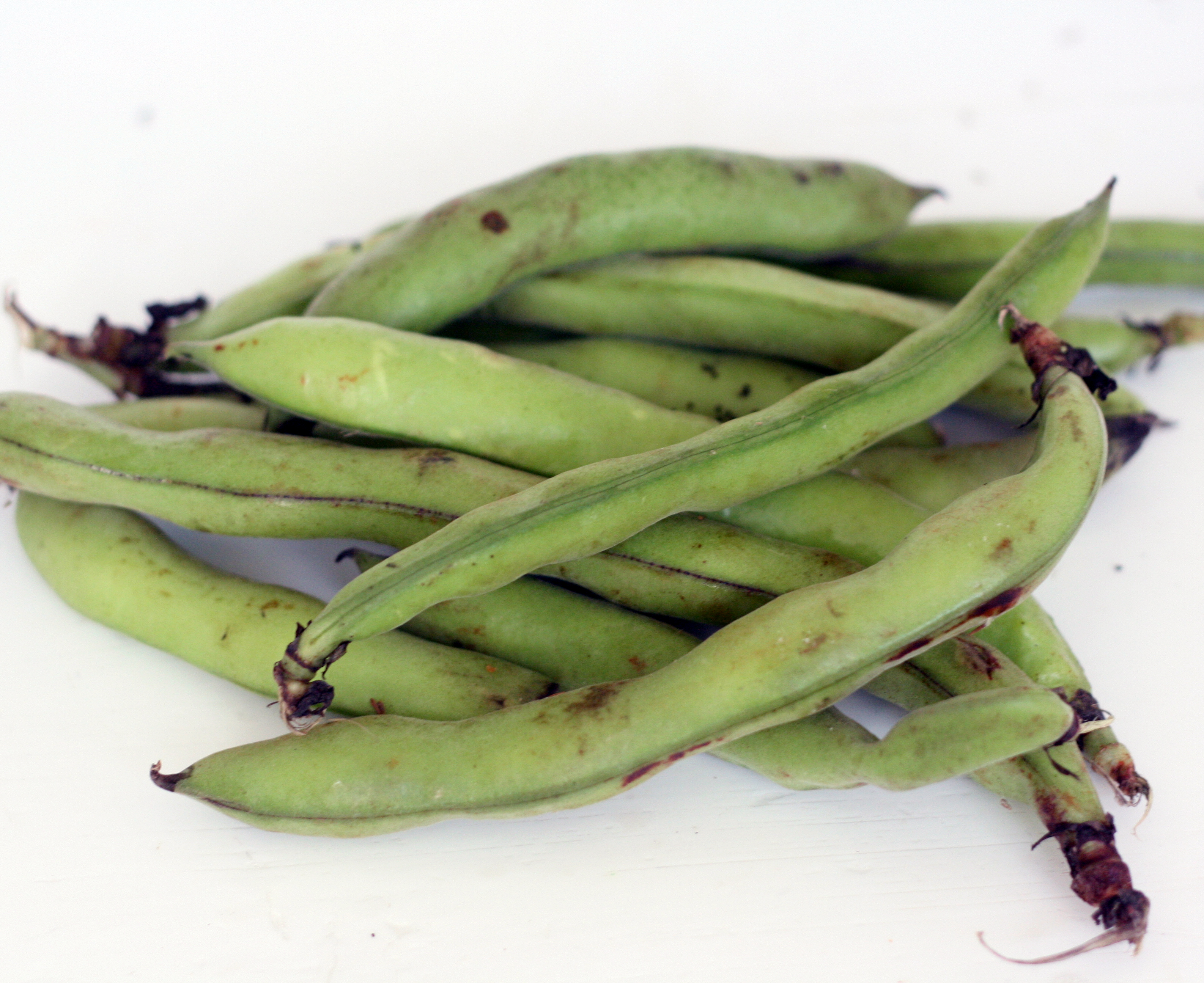 favabeans1.jpg