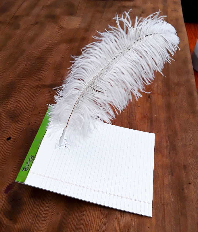 feather1.png