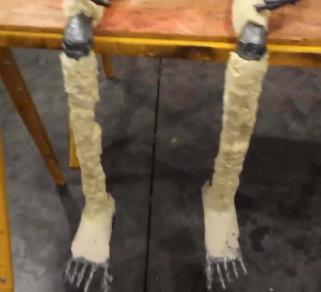 feet.JPG