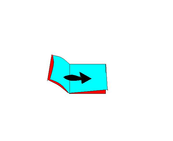 fifth fold.JPG