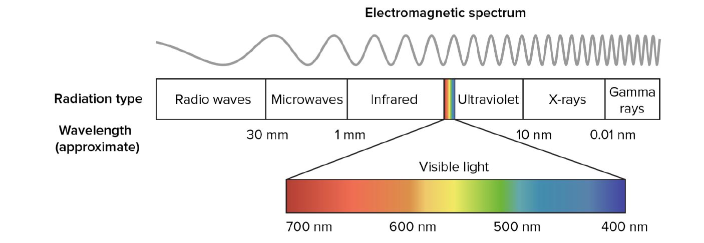 figure 2.JPG