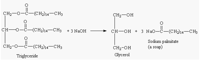 figure10-1.png