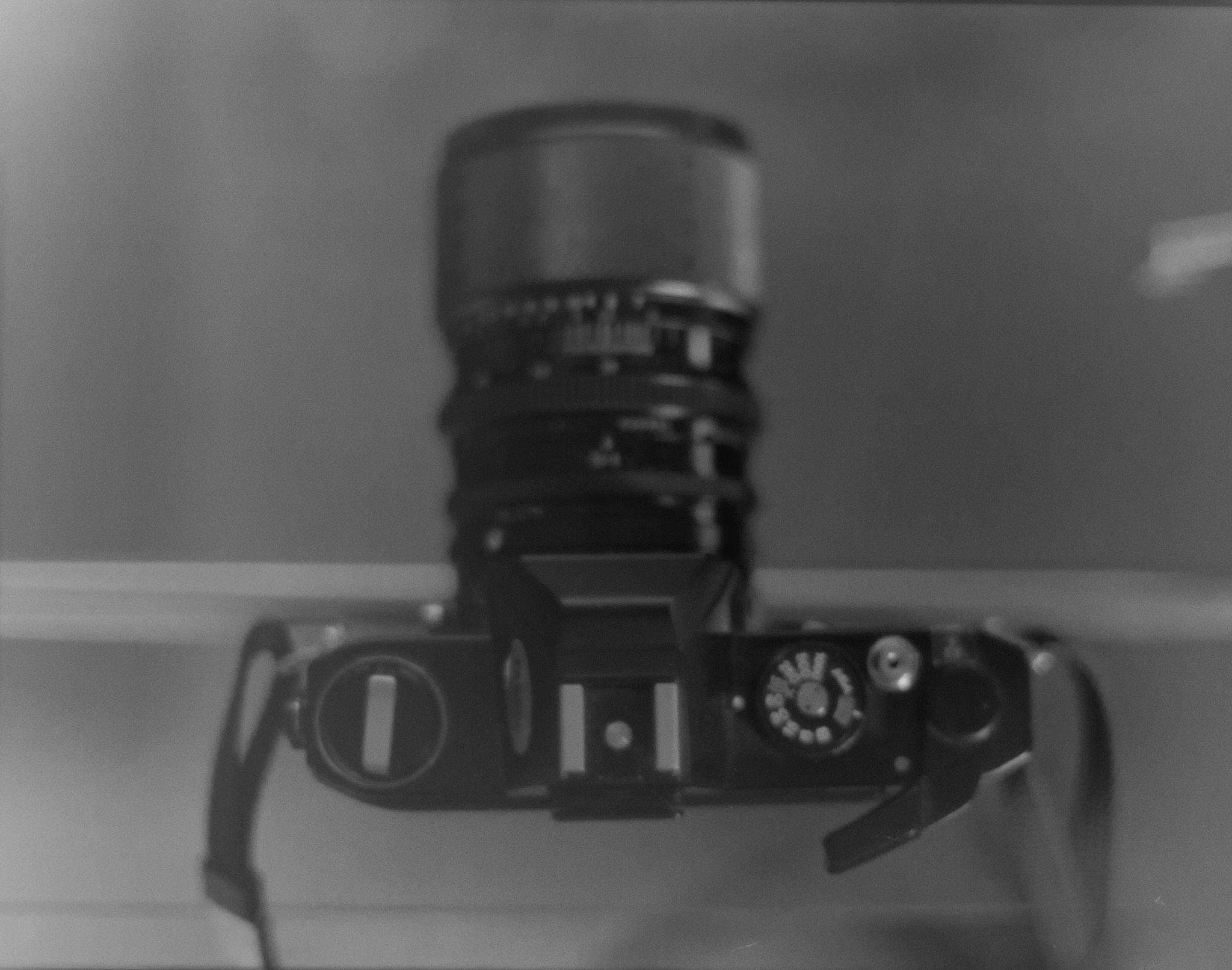 film slr.jpg