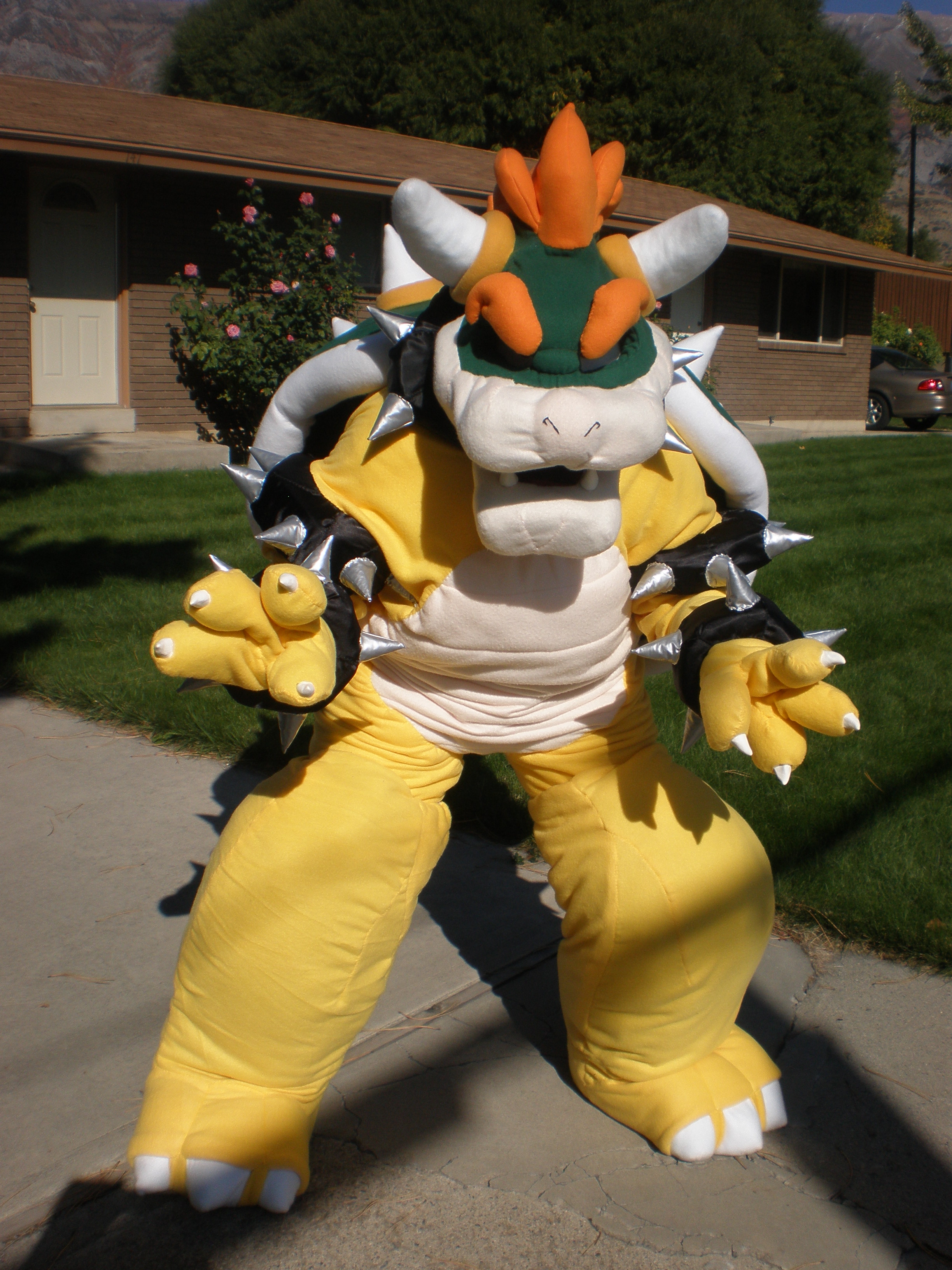 final bowser 003.JPG