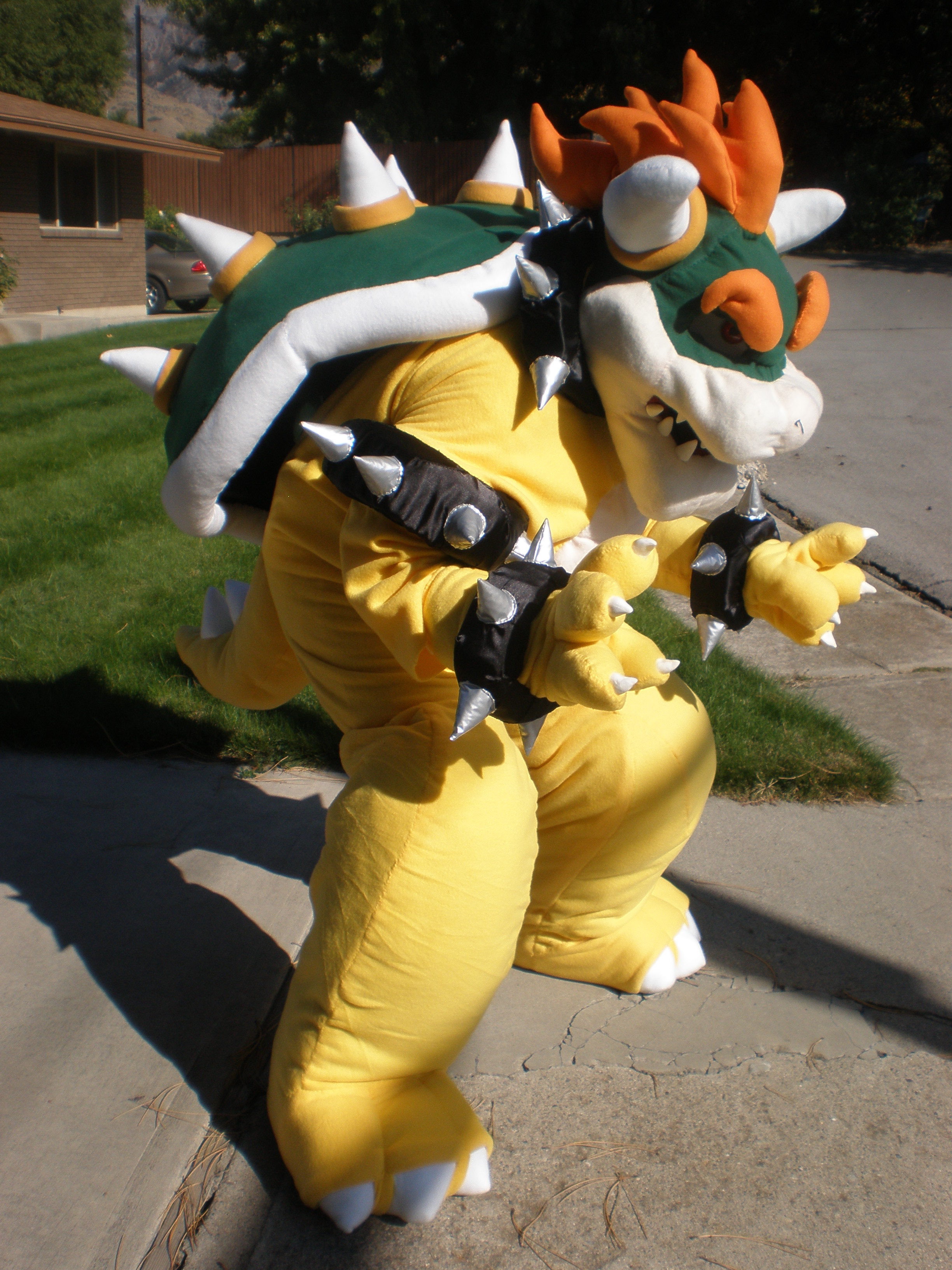 final bowser 004.JPG