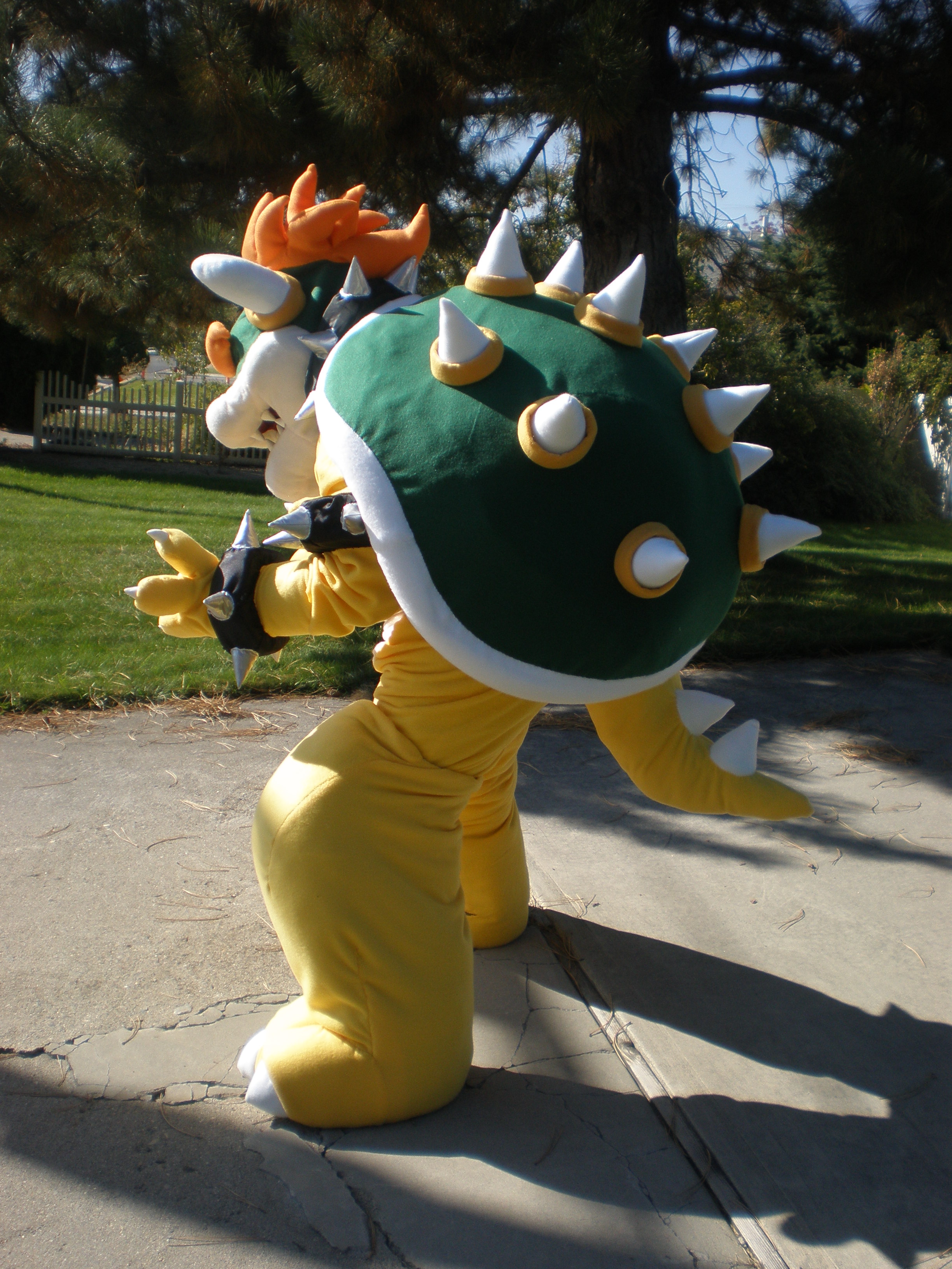 final bowser 009.JPG