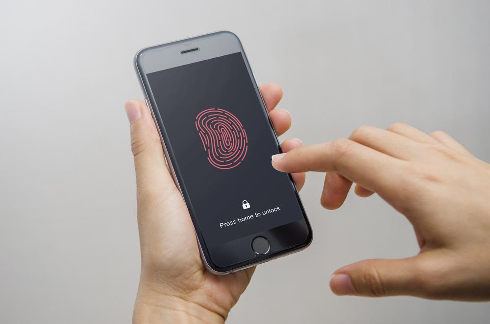 fingerprint3.jpg