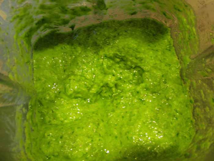 finished pesto in blender.jpg