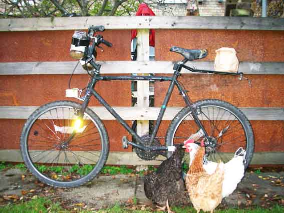 finished-bikeandchickens.jpg