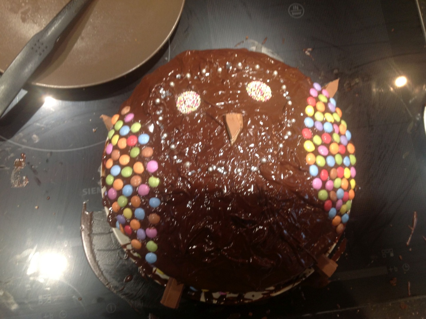 finsihed cake birds view.jpg