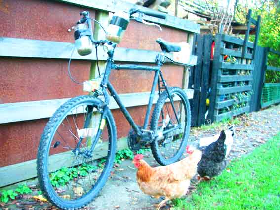 firebikechick2.jpg