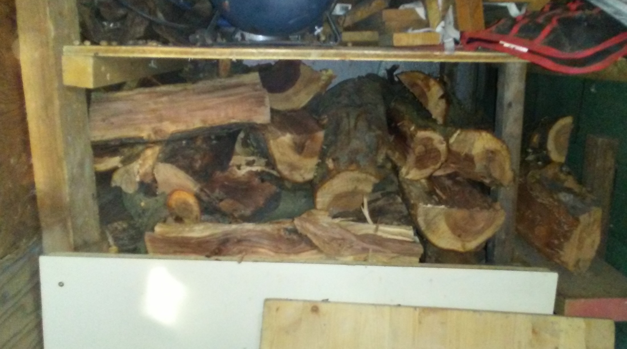 firewood.jpg