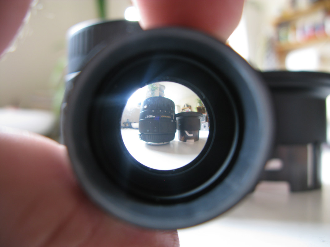 fisheye test view.jpg