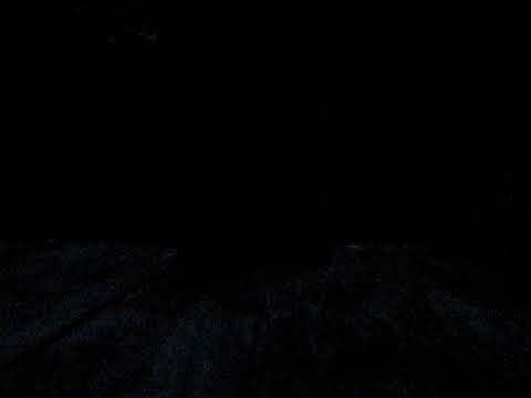 five minutes of bats