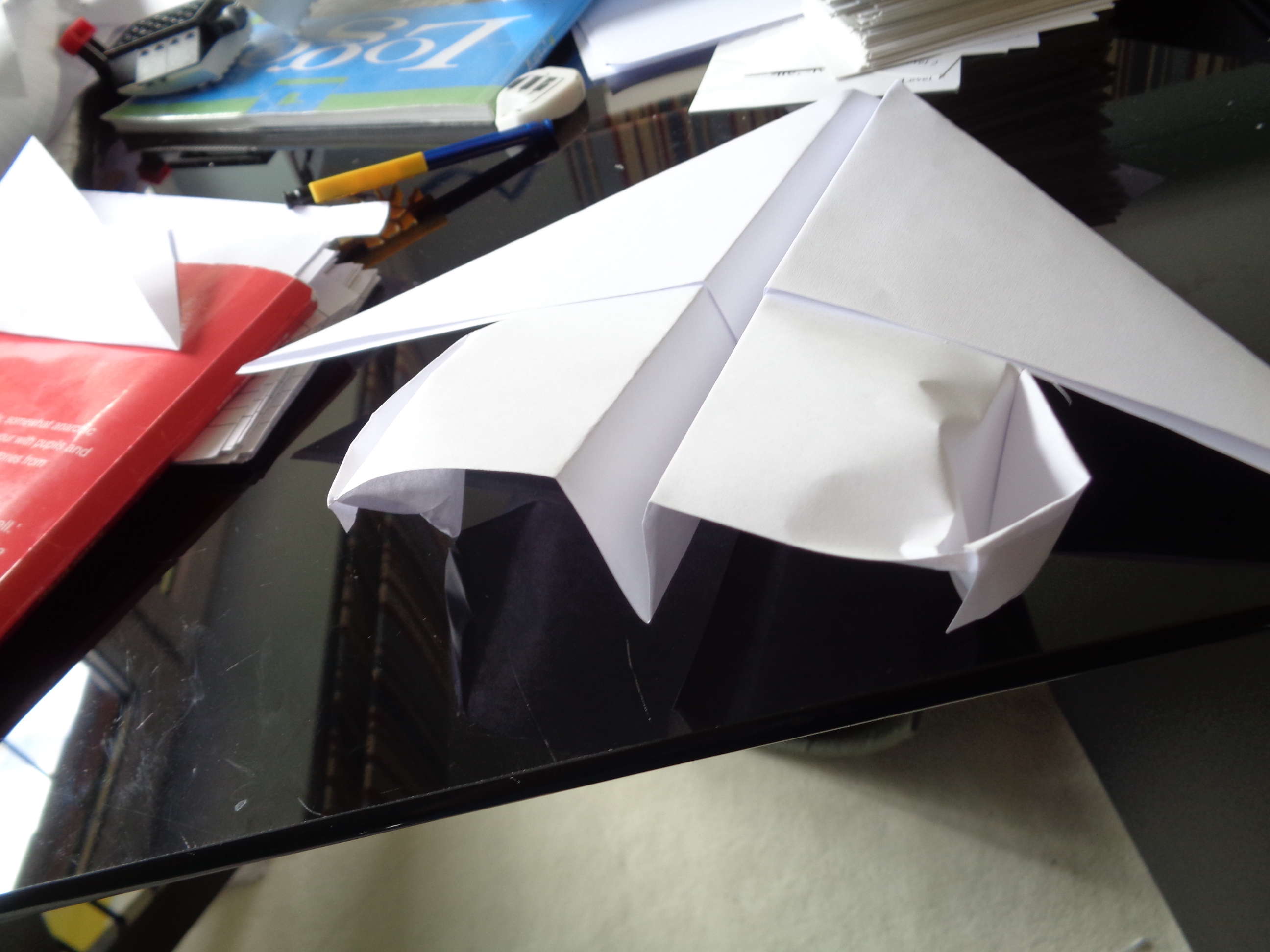 floating paper plane (1).JPG