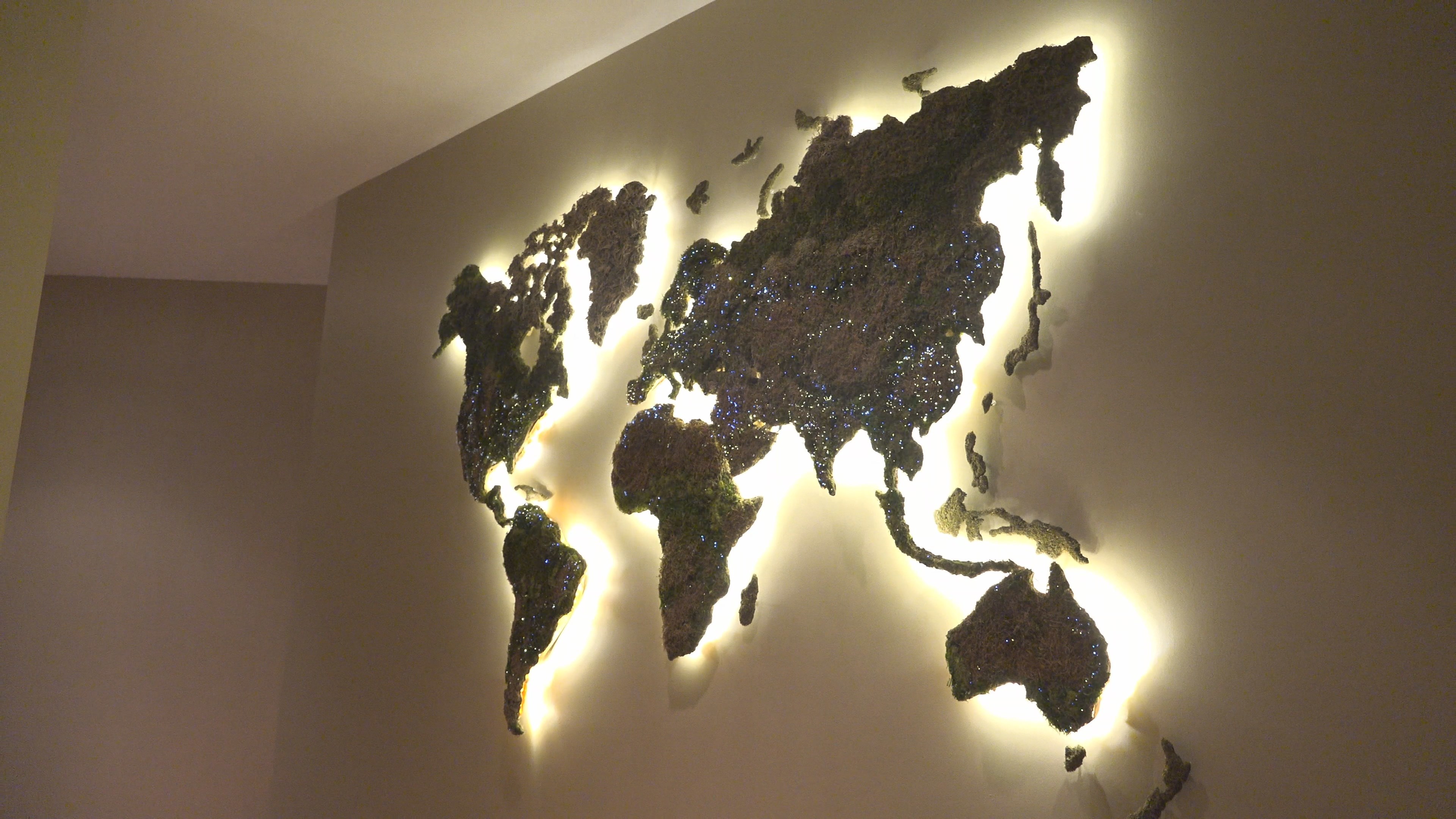 floating-world-moss-map-led-fiber-optics_03.jpg