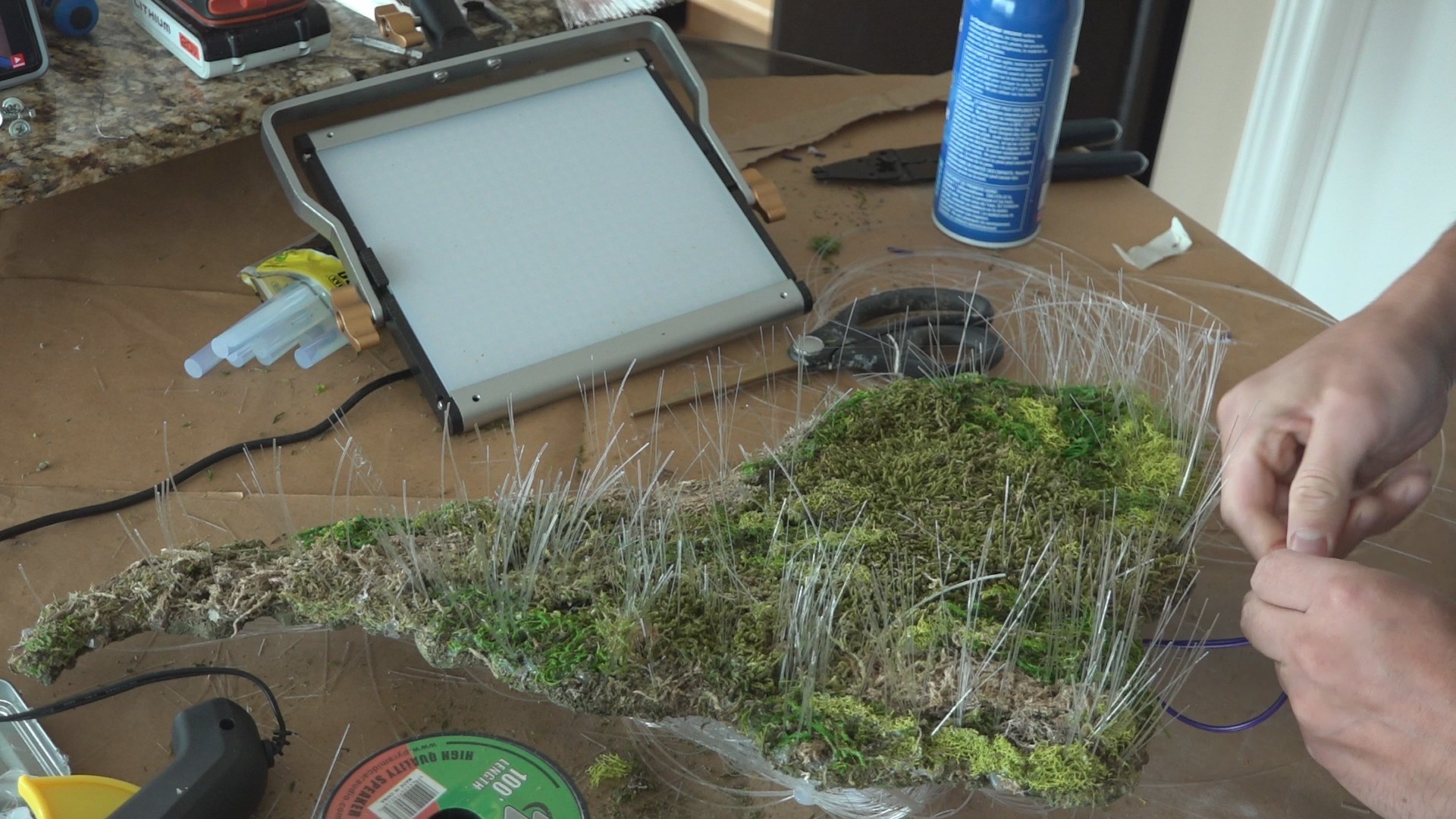 floating-world-moss-map-led-fiber-optics_112.jpg