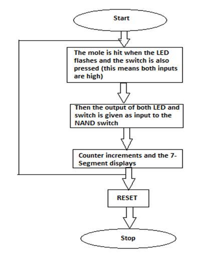 flow chart.JPG