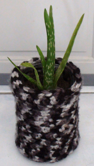 flower pot1.jpg