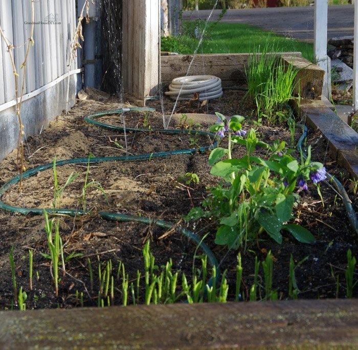 flower-irrigation-garden.jpg