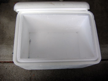 foambox2.jpg