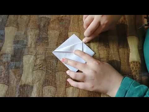 fold 6