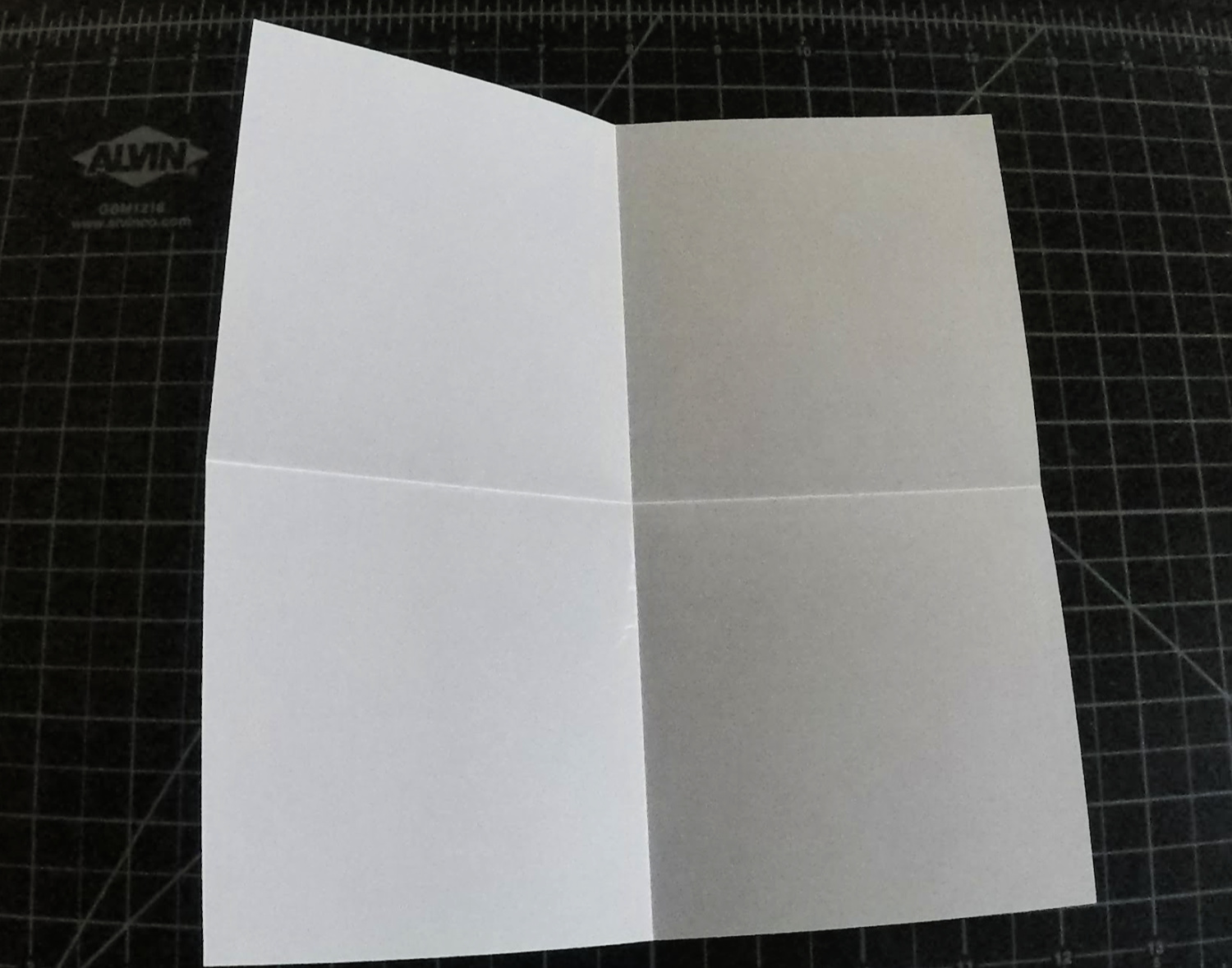 fold1.jpg