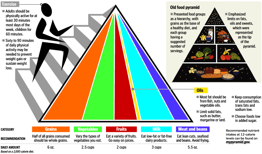 food pyramids.gif