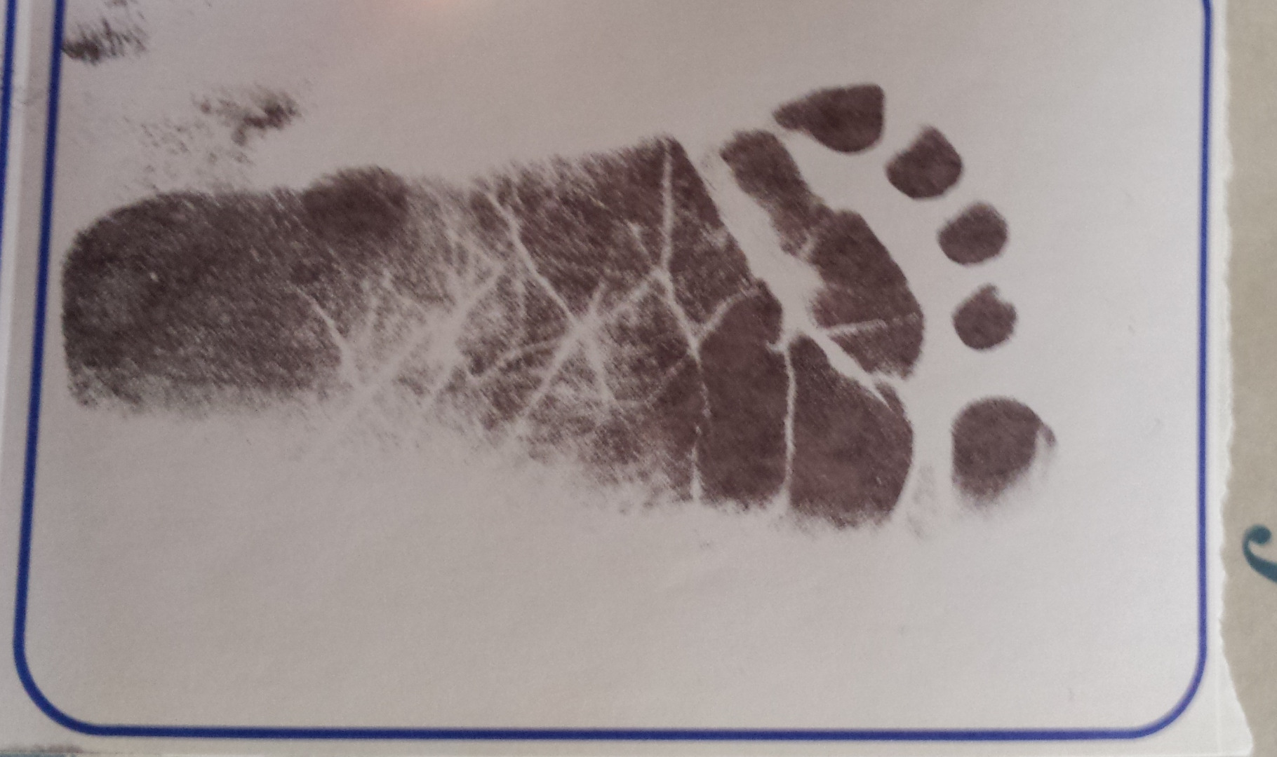 footprint.jpg