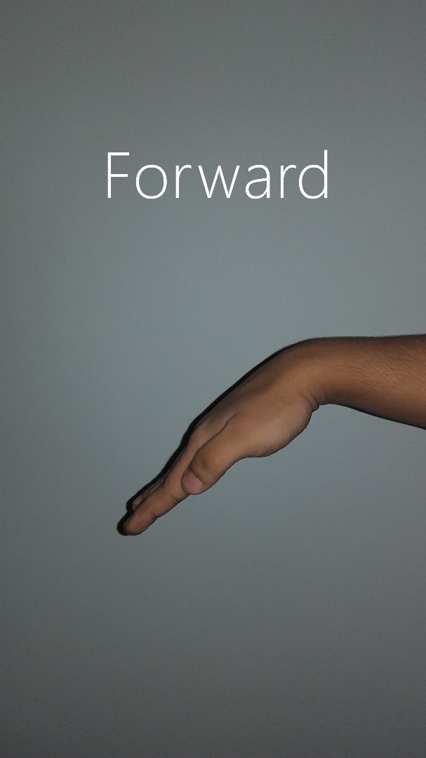 forward_flat.jpg